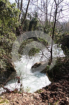 Banyas River Nature Reserve, Israel