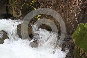 Banyas River Nature Reserve, Israel