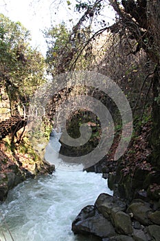 Banyas River Nature Reserve, Israel