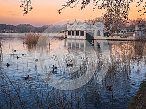 Banyoles Lake Winter Reflection at Dawn photo