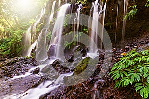 Banyu Wana Amertha in Bali Indonesia