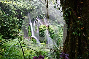 Banyu Wana Amertha Waterfall view. Waterfall natural backgrounds with big tree. Beautiful nature waterfall with smooth water flow photo