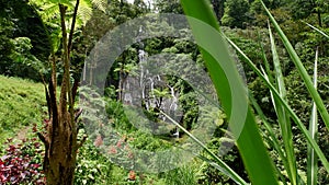 Banyumala Twin Waterfall in Bali