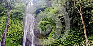 Banyumala Twin waterfall, at buleleng regency of Bali during day time