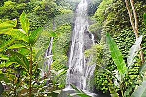 Banyumala waterfall at Buleleng regency of Bali - Indonesia