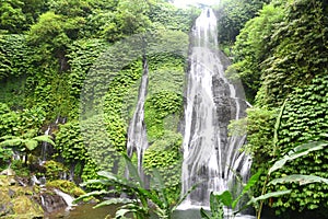 Banyumala waterfall at Buleleng regency of Bali - Indonesia