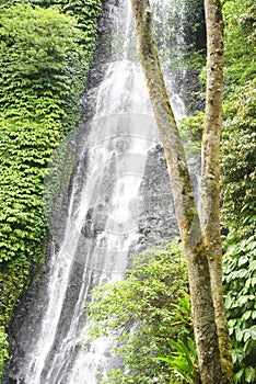 Banyumala waterfall at Buleleng regency of Bali - Indonesia