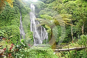 Banyumala waterfall at Buleleng regency of Bali - Indonesia