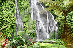 Banyumala waterfall at Buleleng regency of Bali - Indonesia