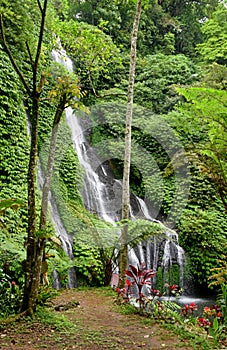 Banyumala waterfall at Buleleng regency of Bali - Indonesia