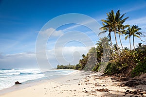 Banzai Pipeline Beach Landscape Hawaii