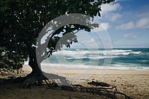 banzai pipeline on the north shore of the island of Oahu, Hawaii