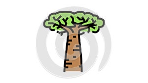baobab africa tree color icon animation
