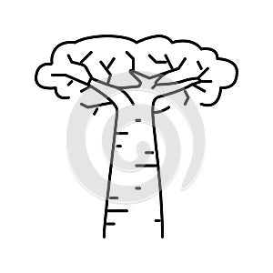 baobab africa tree line icon vector illustration