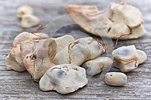 Baobab fruit Adansonia digitata on white background