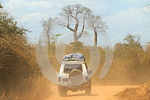 Baobab off road