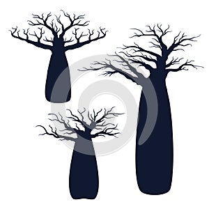 baobab silhouette african typical desert tree vector logo design