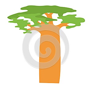 Baobab tree isolated on white vector illustration.