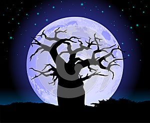 Baobab Tree with moon silhouette