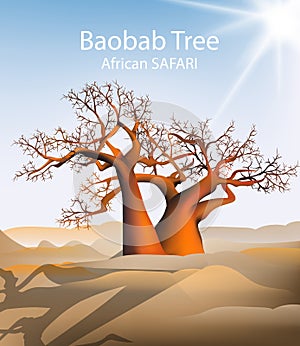 Baobab tree Vector safari background. Hot sunny day and sand dunes