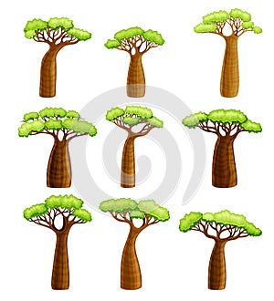 Baobab trees set. African continent symbols. Powerful plants with green foliage cartoon vector illustration