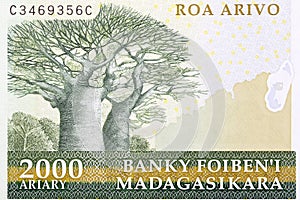 Baobabs from old Malagasy money