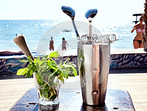 Bar accessories with inox shaker photo