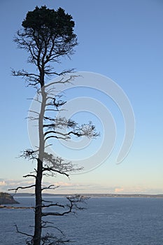 Bar Harbor in Maine