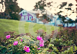 Bar Harbor Maine, coast area.