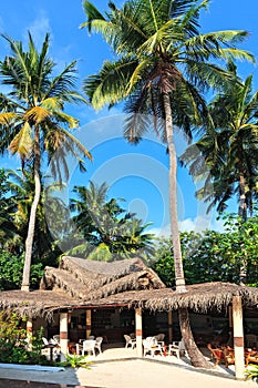 Bar in trpical hotel