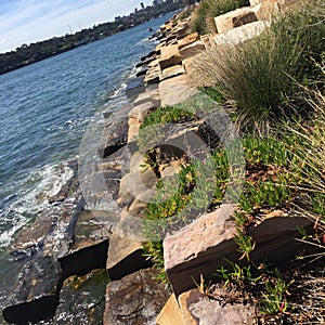 Barangaroo Reserve