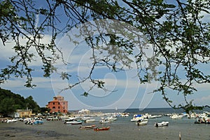 Baratti gulf