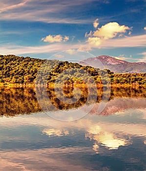 Baratz reflection at dusk