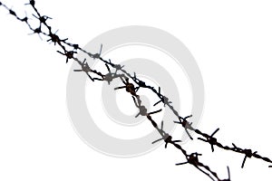 Barb Wire