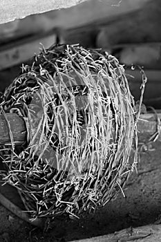 Barb wire