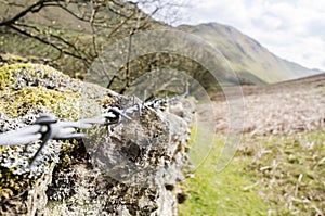 Barb Wire through Countryside Landscape