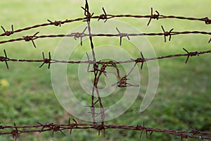 Barb wire fence