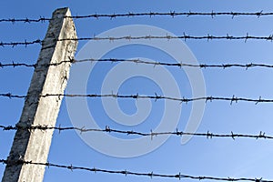 Barb wire fence