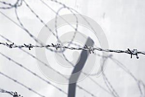 Barb wire fence protection