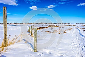 A barb wire fence in a snow covered field