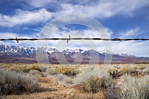 Barb Wire Fence Strand