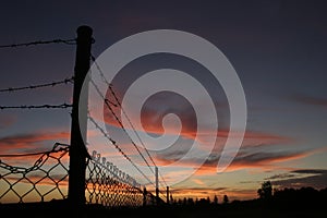 Barb Wire Fence at Sunset