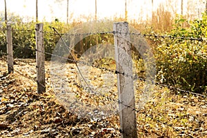 Barb wire fencing