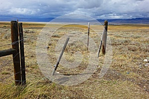 Barb-Wire Gate - Montana Ranch