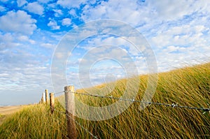 Barb Wire Iron Fence Dune