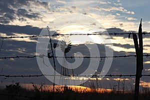 Barb Wire Knot