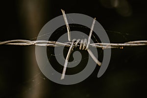 Barb wire in the silence land