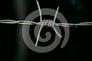 Barb wire in the silence land