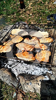 Barbacue in nature