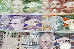 Barbadian dollar a business background